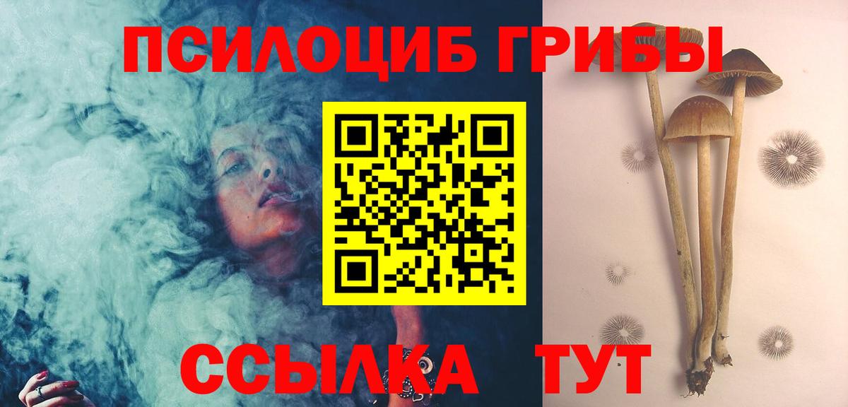 Псилоцибиновые грибы Psilocybe Армавир