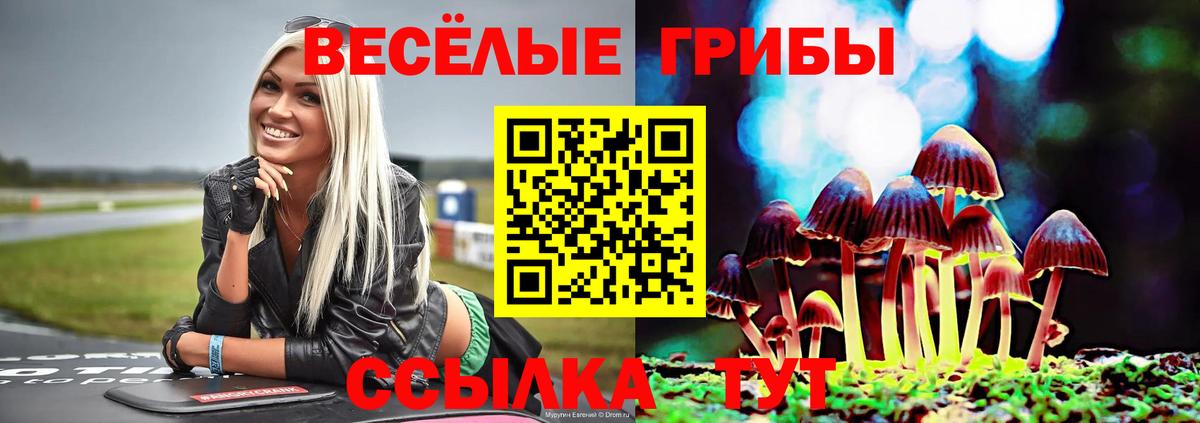 Галлюциногенные грибы мухоморы  Галлюциногенные грибы GOLDEN TEACHER  Армавир  Вход с VPN 